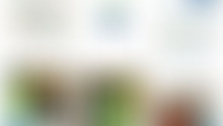 EHFC Exhibit CIPHI ON Branch AEC