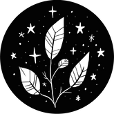 Logo_boule_image_LPDC_2025.png