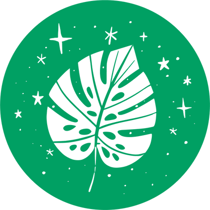 Thème forêt amazonienne fond transparent.png