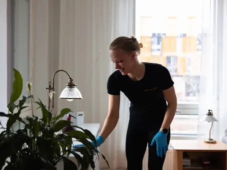 Allergiasiivous ja sisäilma ongelma – Tee kodistasi turvasatama siitepölyltä ja katupölyltä