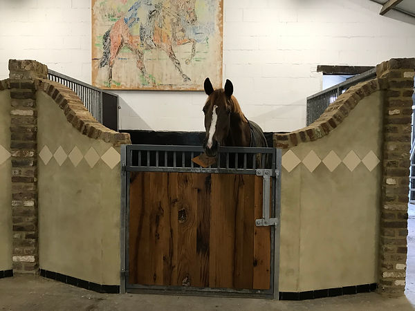 Lovely Grootenhout (Dreamboy x Zjengis Khan)