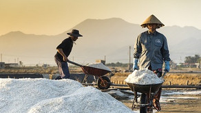 תנאים סוציאליים