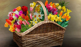 March 2022 - Order Easter Flowers