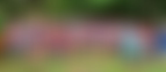 【10/11(土)】ペーサーで参加決定!猫ちゃんランクラブ 申し込み受付中