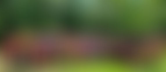 【7/21(月)】ペーサーで参加決定!猫ちゃんランクラブ 申し込み受付中