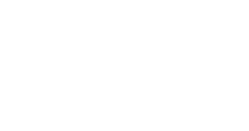 Paradise Chartes - NEW LOGO _edited 1.png
