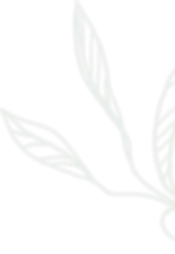 _Group_ (1) 4.png