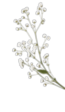 Background - 2025-06-24T220300.149 2.png