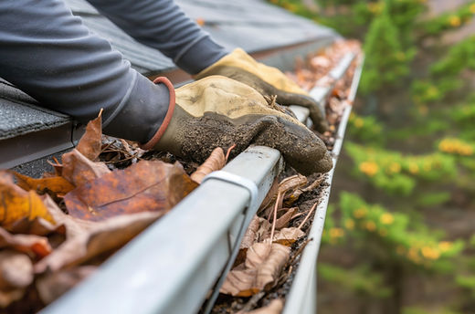 man-cleaning-out-his-gutters-preventing-water-damage (1).jpg
