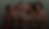 Group 1597883863.png
