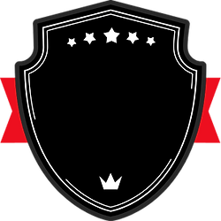 30 Years Hands-On Experience Background