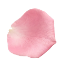 object (6) 2.png