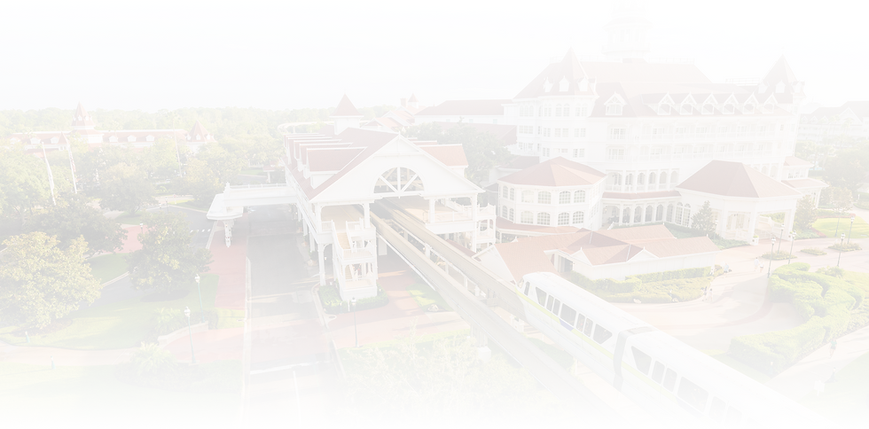What is lightning lane at Disney world background