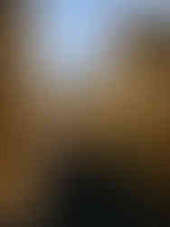 half frame camera