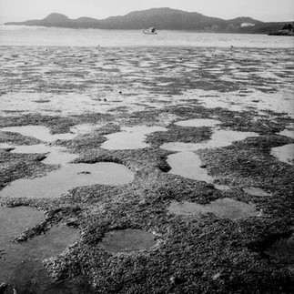 Orcas Island Fuji GS645s Rangefinder