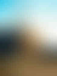 half frame camera