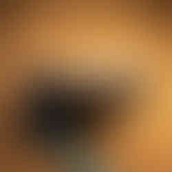 half frame camera