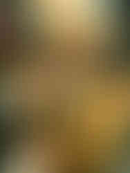 half frame camera