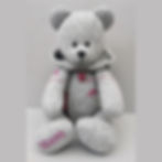 Hoodie memory bear