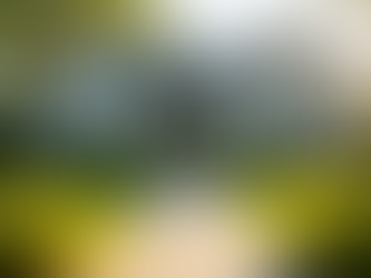 Simplify Your Home Selling Process with Expert Tips