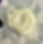 Thumbnail: A smear of natural skin cream