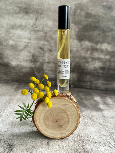 SYMPHONY OF TREES -Natural Perfume | Rose & Co. Botanicals