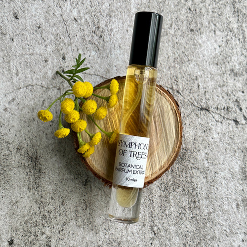 SYMPHONY OF TREES -Natural Perfume | Rose & Co. Botanicals