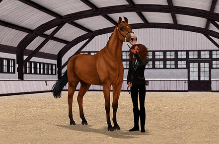 Anni ja Badal Trillium Winter Breed Show