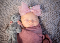 cape coral newborn photographer