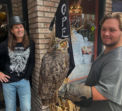 owl.jpg