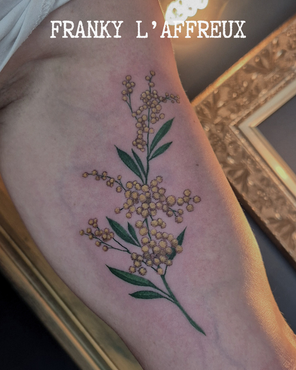 Tatouage style couleurs d'une branche de mimosa sur un biceps, réalisé par Franky l'affreux, gérant des Pluies d'avril