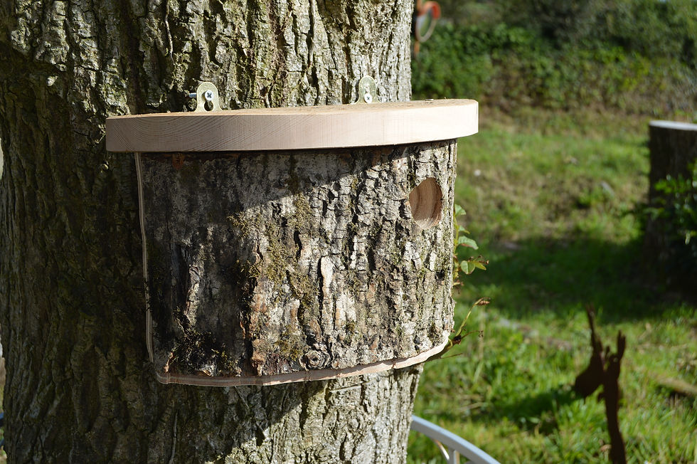 Thumbnail: Natural Log Birdbox