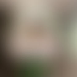 Sasha P Wins CANEX SME Pitch 2025,Takes Home $10,000 Prize.