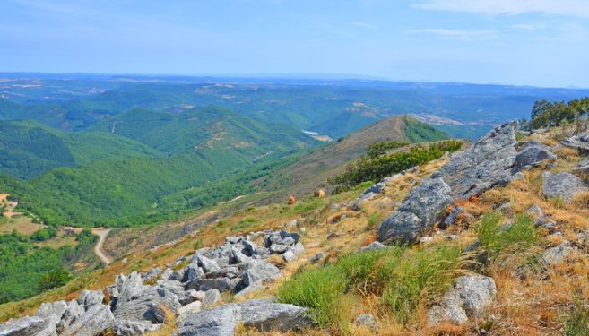 セヴェンヌ国立公園(Parc national des Cévennes)