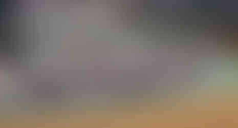 ル・マン24時間レース(24 Heures du Mans)