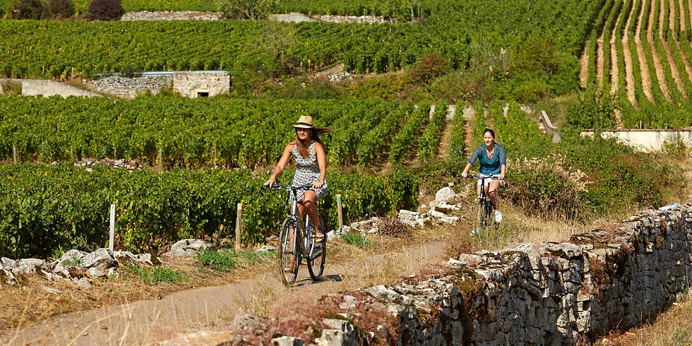 bourgogne cycling
