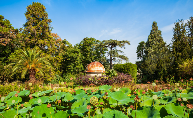 植物園(Jardin des Plantes)