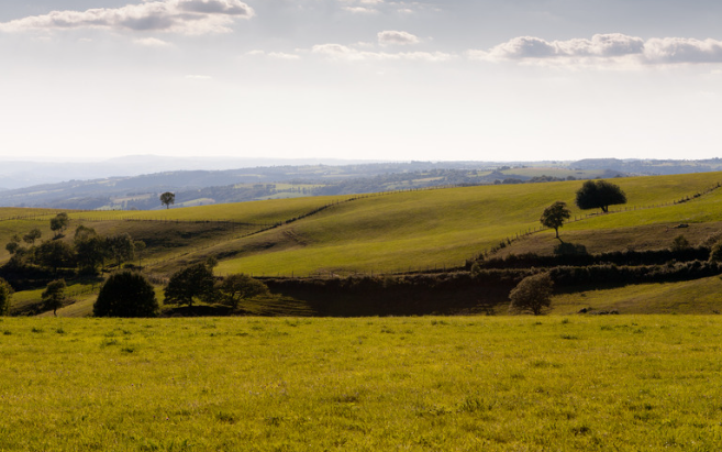 オーブラック自然公園(Parc naturel régional de l’Aubrac)