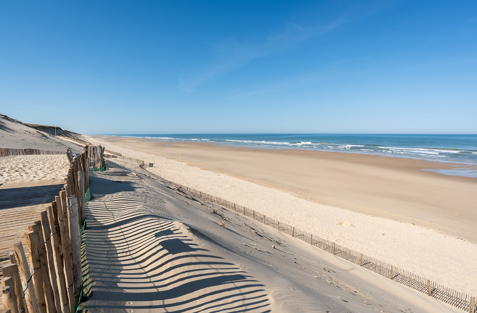 レゼルヴ・ナチュレル・ナシオナル・デ・デューン・エ・マレ・ドゥルタン（Réserve naturelle nationale des dunes et marais d'Hourtin）