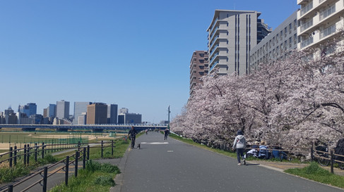 日本の四季を感じながら旅することは何よりの楽しみ