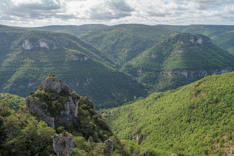 グラン・コース自然公園(Parc naturel régional des Grands Causses)
