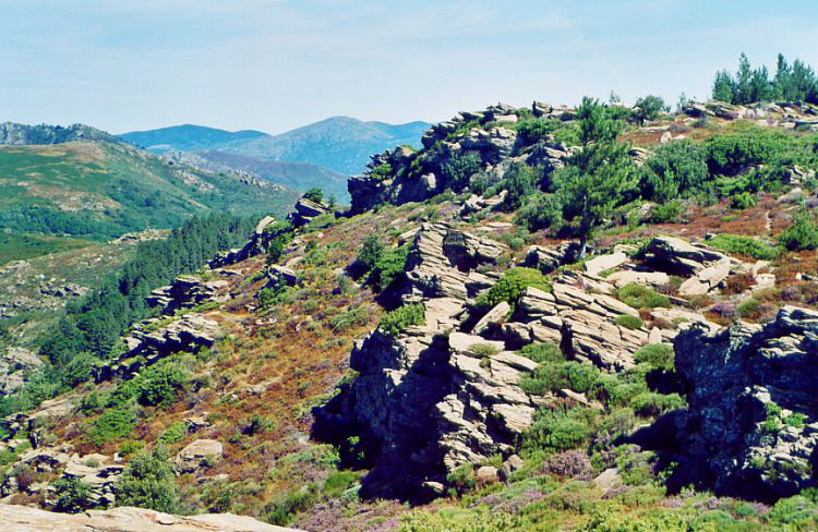 オー=ラングドック自然公園(Parc naturel régional du Haut-Languedoc)