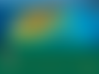 Chagos Islands Treaty