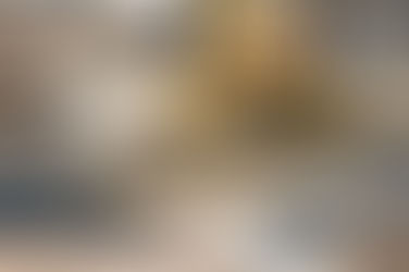 Ped Mall seeks to give construction area facelift