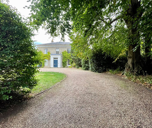 Natural and organic driveway