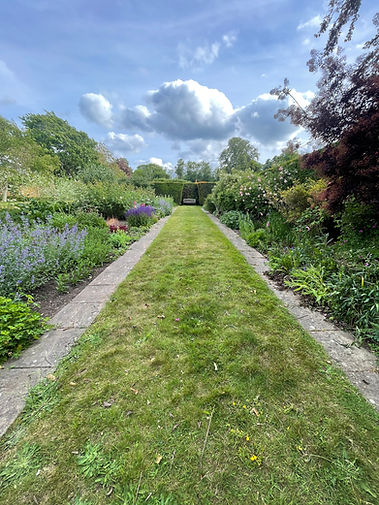 David Austin Cutting Garden.jpeg