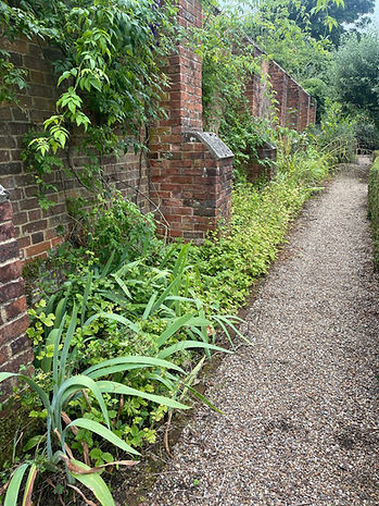 WALLED GARDEN WEEDS.jpeg