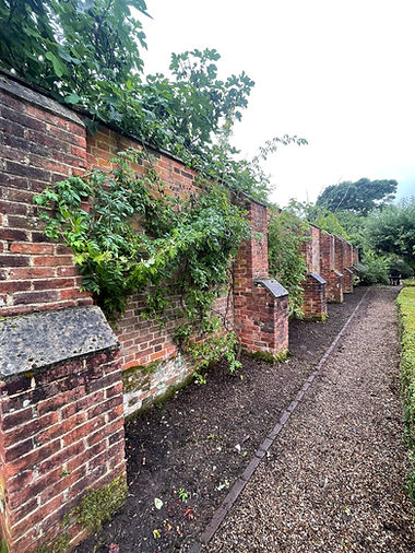 25 metre walled garden cleared.jpeg