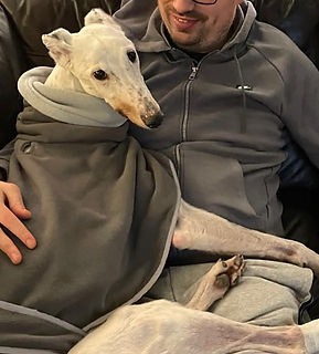 PRINCE CUDDLES2.jpeg