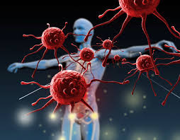 immune ssytem.jpeg